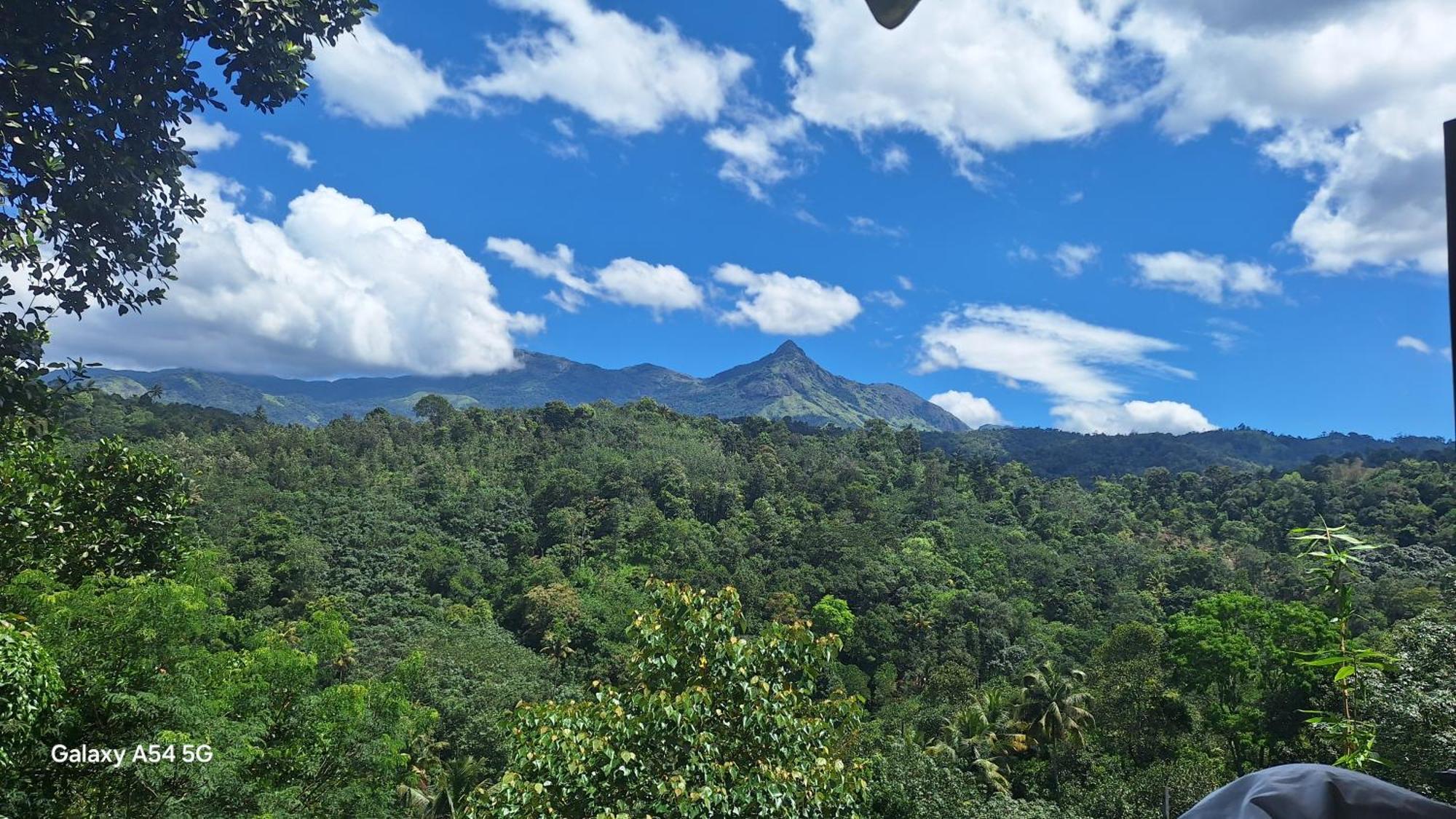 Winterhome Homestay Munnar Δωμάτιο φωτογραφία